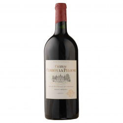 Château Cambon La Pelouse - Double Magnum