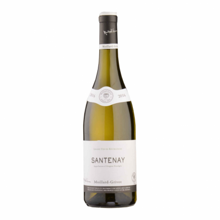 Domaine Moillard - Grivot - Santenay Domaine Moillard - Grivot - Santenay