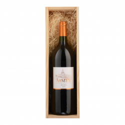 Coffret Château Aimée - Magnum