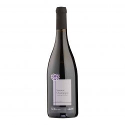 Domaine des Bleuces - Saumur Champigny - Fruits de la forêt - 2018