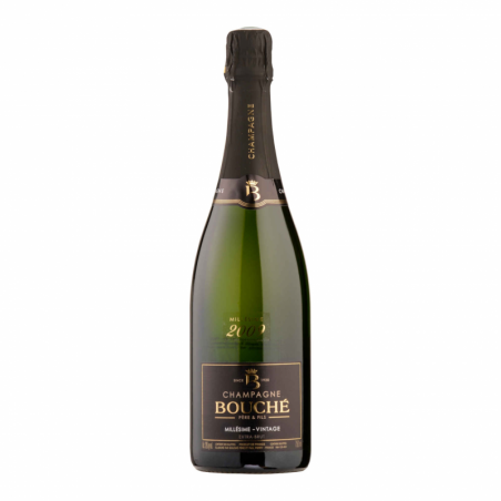 Champagne Bouché Père & Fils - Millésimé 2009 Champagne Bouché Père & Fils - Millésimé 2009