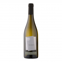 Domaine des Bleuces - Sauvignon Blanc