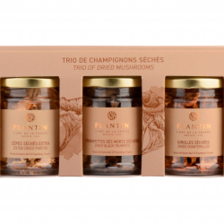 Trio de champignons séchés - Plantin