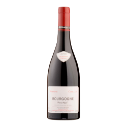 Domaine Coillot - Bourgogne - Pinot Noir - 2018