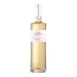 Terre de Mistral - Anna - 2022